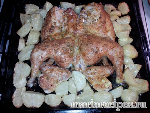 Курица, запеченная в духовке с картофелем