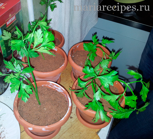 Детские десерты рецепты