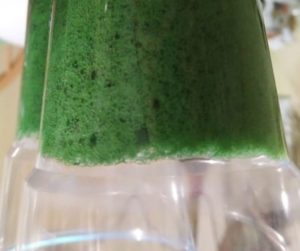 бисквит мох рецепт